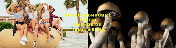 спайс Абинск