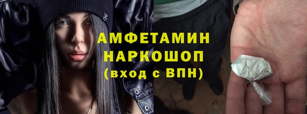 гашик Нефтекумск